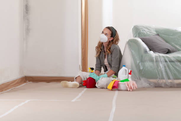 Reliable Mold Cleanup contractor in Baldwin, GA by WQB Mold Removal